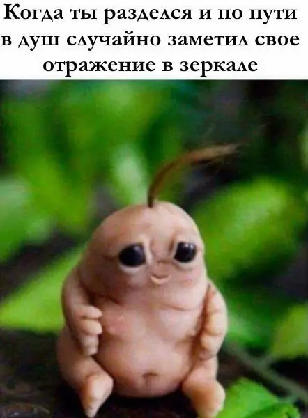Смешная картинка №204347