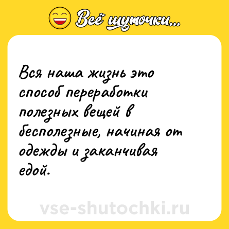 Шутка: Вся наша жизнь это способ переработки полезных вещей в бесполезные, начиная от одежды и заканчивая едой.