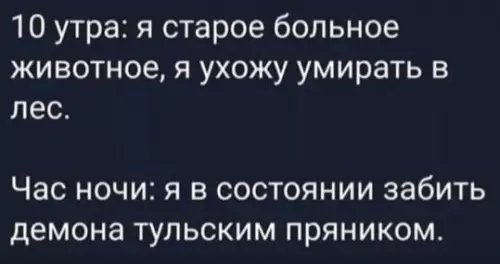 Смешная картинка №458908 Коротко о моей бодрости: