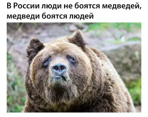 Смешная картинка №221524