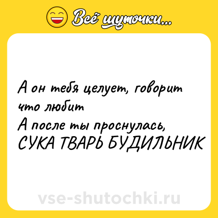Шутка: А он тебя целует, говорит что любит <br>А после ты проснулась, СУКА ТВАРЬ БУДИЛЬНИК