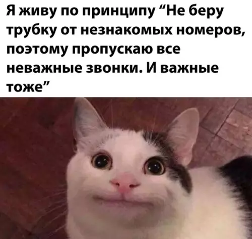 Смешная картинка №515792