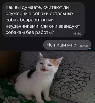 Смешная картинка №662224