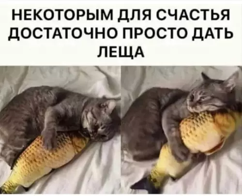 Смешная картинка №784171