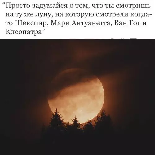 Смешная картинка №308362