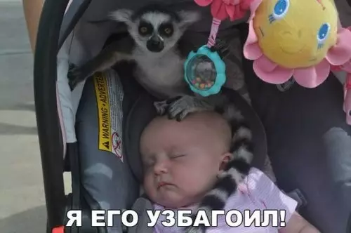 Смешная картинка №309924