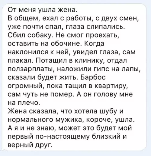 Смешная картинка №283761