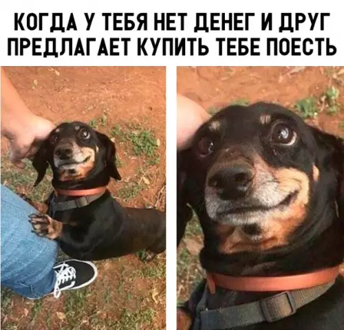 Смешная картинка №325663