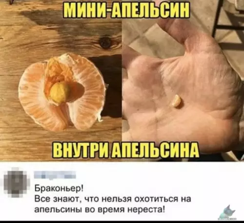 Смешная картинка №440135