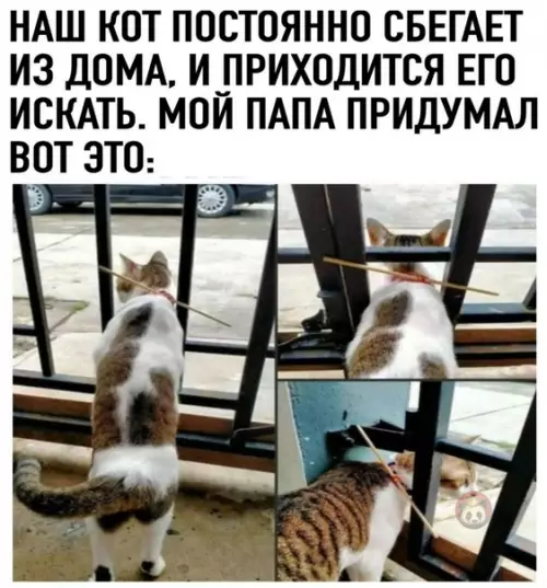 Смешная картинка №506868 Надо это назвать "противосъ*бник" ?