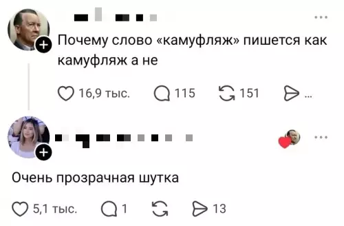 Лингвистический каламбур года 😂 - Почему слово камуфляж пишется как камуфляж а не... Очень прозрачная