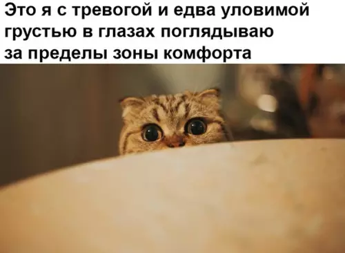 Смешная картинка №329902