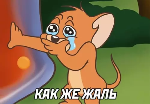продолжение Смешная картинка №585613