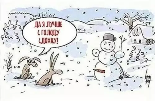 Смешная картинка №435258