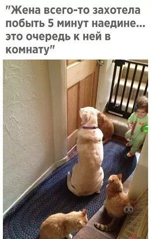Смешная картинка №510890 Нелегко быть женщиной в этом доме ?