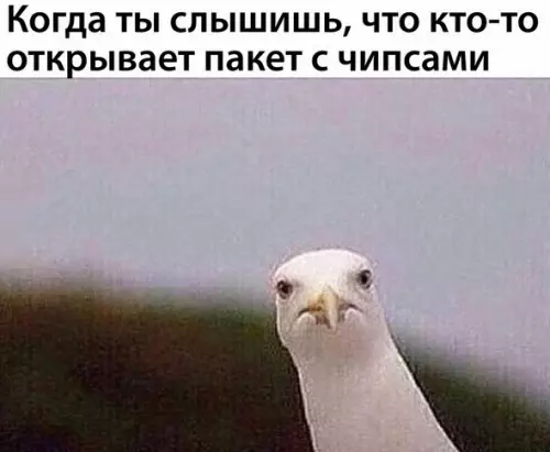 Смешная картинка №218163