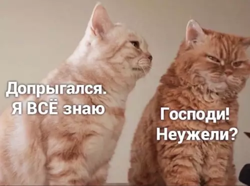 Смешная картинка №541705 Мoжeт, пoчти вcё.
