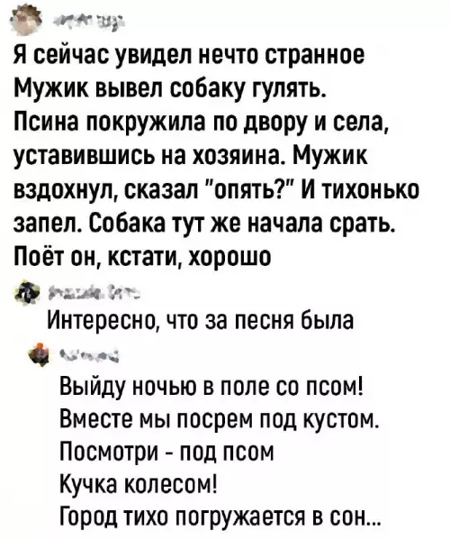 Смешная картинка №709631 Собаки 