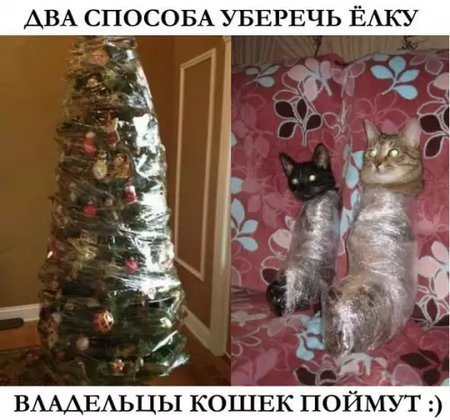 Смешная картинка №225257