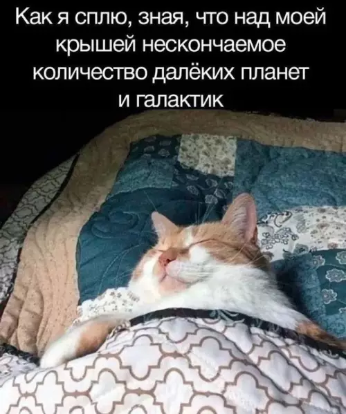 Смешная картинка №763205