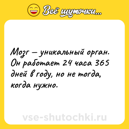 Шутка: Мозг — уникальный орган. Он работает 24 часа 365 дней в году, но не тогда, когда нужно.