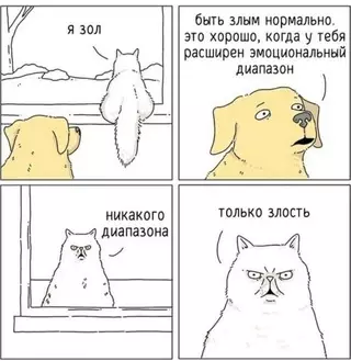 Смешная картинка №679006