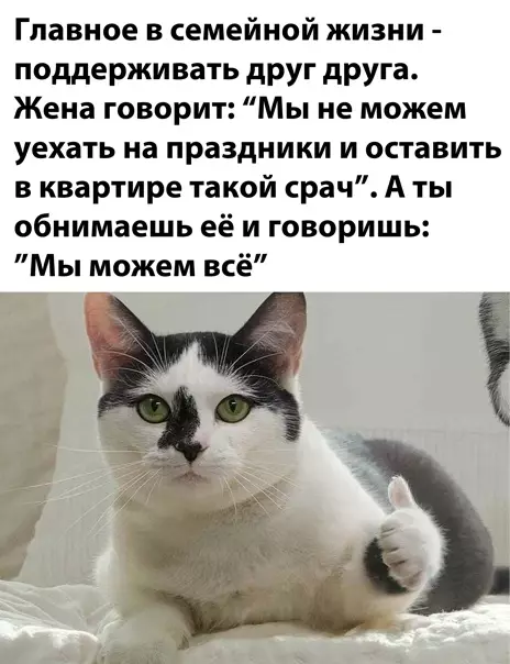 Смешная картинка №547606 жена, муж