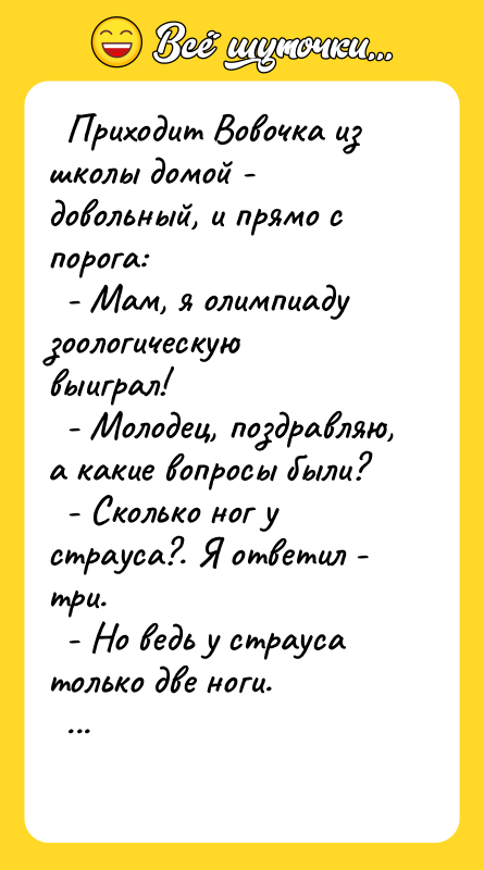 Приходит Вовочка из школы домой - довольный, и