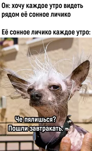 Смешная картинка №675470
