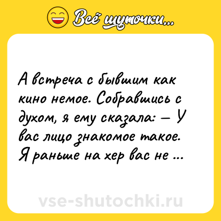 Шутка: А встреча с бывшим как кино немое. Собравшись с духом, я ему сказала: — У вас лицо знакомое такое. Я раньше на хер вас не посылала?