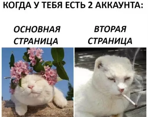 Смешная картинка №275683