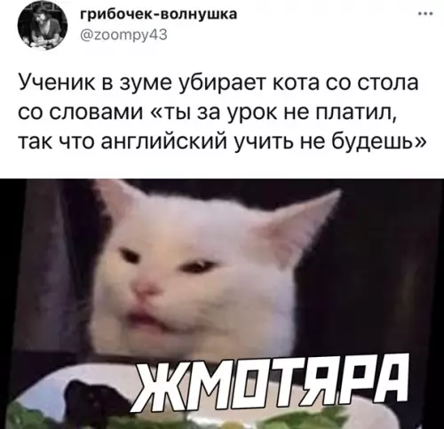Смешная картинка №561059