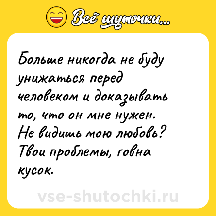 Шутка: Больше никогда не буду унижаться перед человеком и доказывать то, что он мне нужен.<br>Не видишь мою любовь? Твои проблемы, говна кусок.