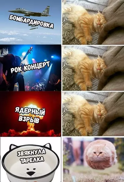Смешная картинка №270596