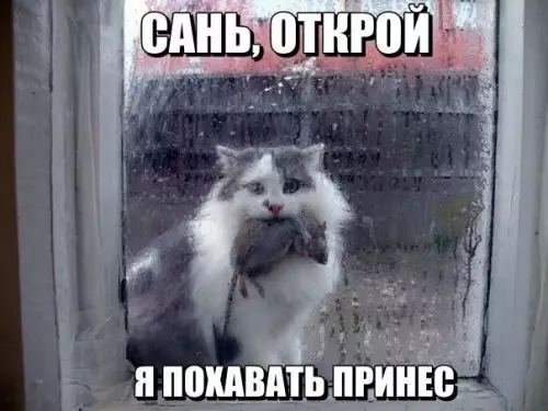 Смешная картинка №195313