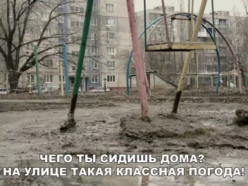 Смешная картинка №227043