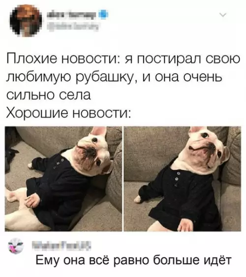 Смешная картинка №490058 Когда плохая новость превращается в хорошую