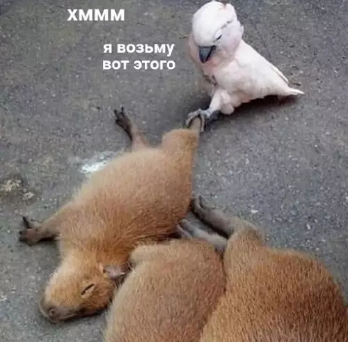 Смешная картинка №670907