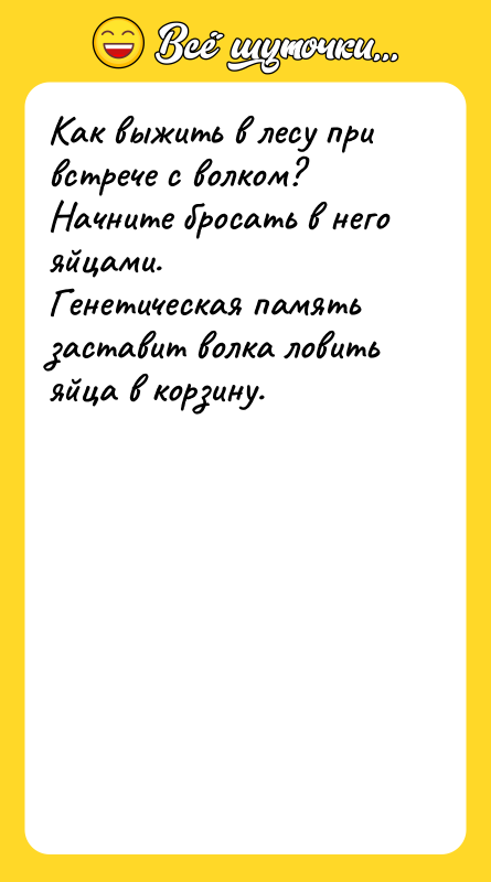 Как выжить в лесу при встрече с волком?