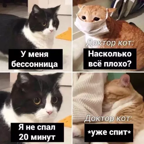 Смешная картинка №704520