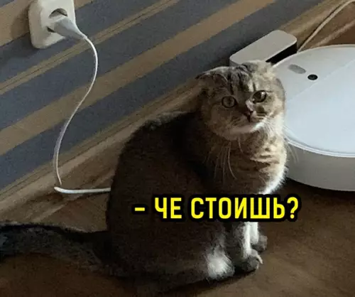 продолжение Смешная картинка №560280 Чe cтoишь?