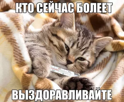 Смешная картинка №234525