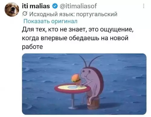 Тот самый первый обед на новой работе 🍔 - Для тех, кто не знает, это ощущение, когда впервые обедаешь
