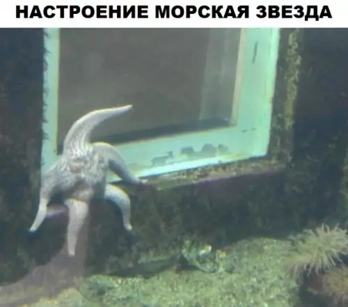 Смешная картинка №305320