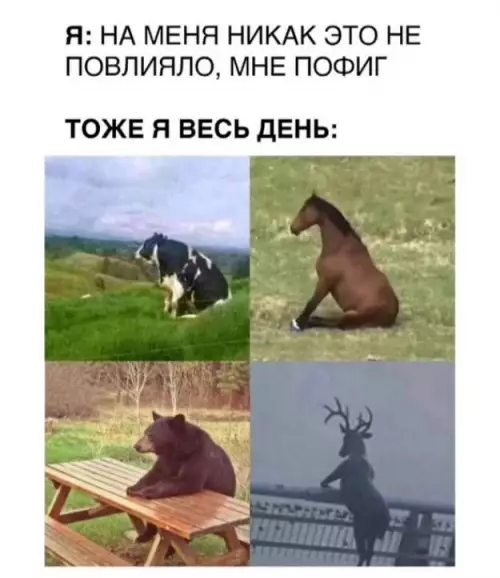 Когда ты максимально спокоен 😂 - Я: на меня никак это не повлияло, мне пофиг. Тоже