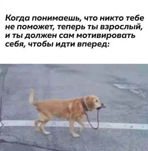 Смешная картинка №676908