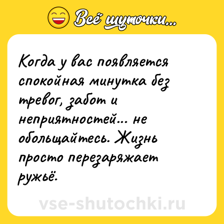 Шутка: Когда у вас появляется спокойная минутка без тревог, забот и неприятностей... не обольщайтесь. Жизнь просто перезаряжает ружьё.