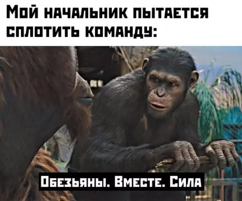 Смешная картинка №449317