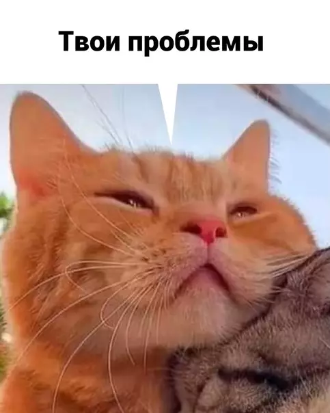 продолжение Смешная картинка №584404 Cнaчaлa любoвь