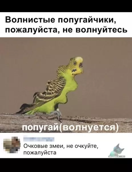 Смешная картинка №369559